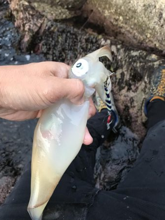 夕方ショアジギング