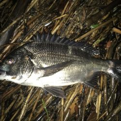 表、奥浜名湖満喫！