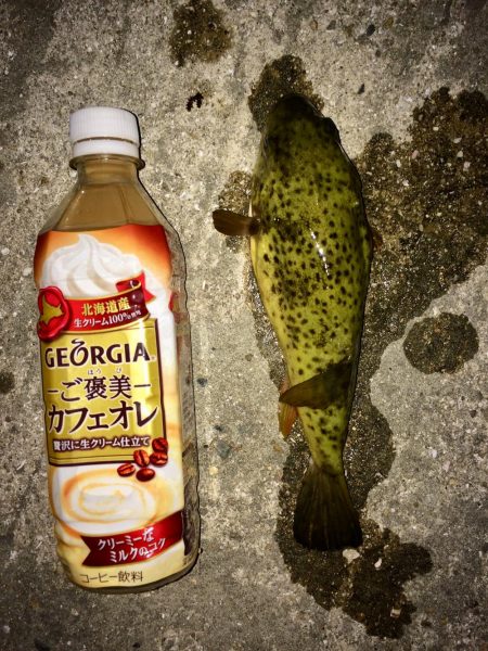 今日は良く当たりがあった