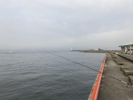 今日の釣果は。