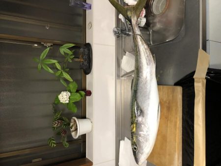 メータージャストブリ