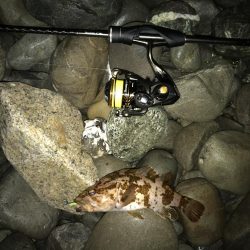 フォール➕デッドスロー