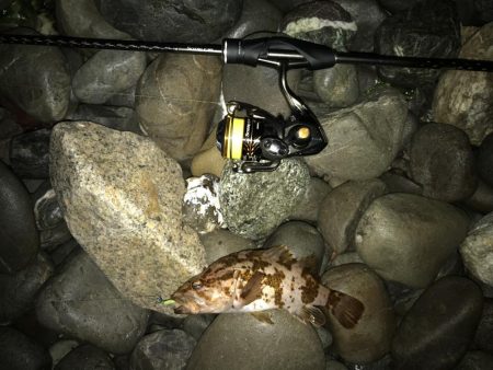 フォール➕デッドスロー