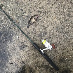 出勤前に。 part 7