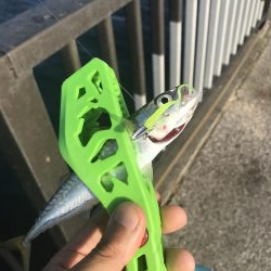 武豊緑地公園のライトゲーム!