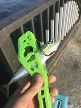 武豊緑地公園のライトゲーム!