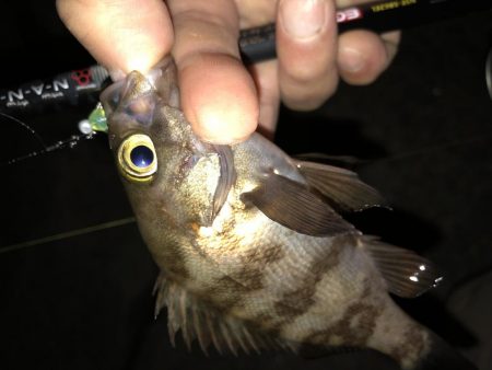 会社帰りプチメバル