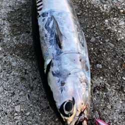 ショアジギング