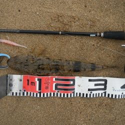 もう少しサイズが…