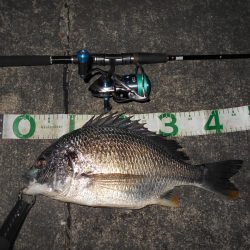 マイクロバチパターン？。