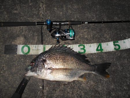 マイクロバチパターン？。