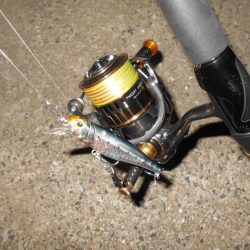 やはり表層か?。