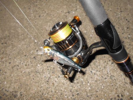 やはり表層か?。