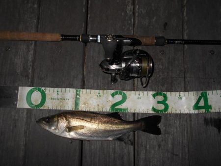 前半は表層 後半はテクトロで連発♪。