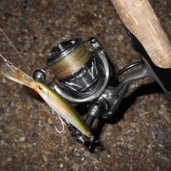 テクトロでポツポツと…。