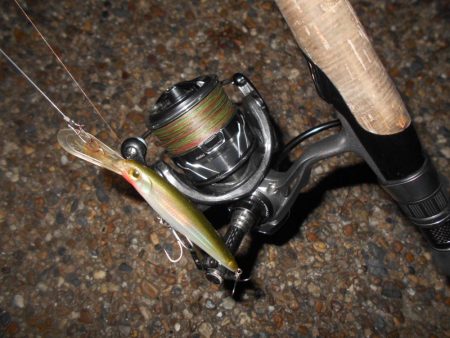 テクトロでポツポツと…。