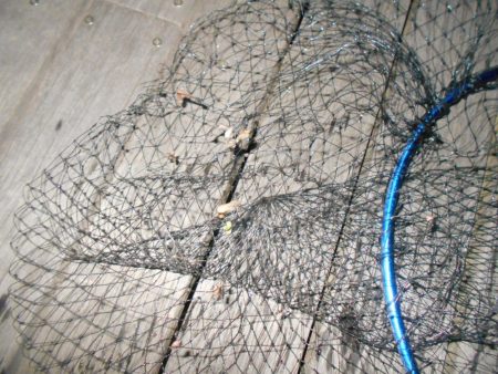 際をマメに探れば何とか釣れる…。