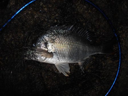 イレギュラーな動きに反応有り。