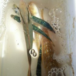 五目釣りに変更