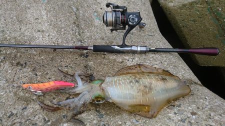 出張でエギング