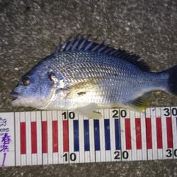 ハラハラドキドキ