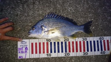 ハラハラドキドキ