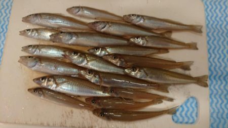 ダイワキスマスターズに重なり