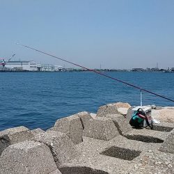 東二見人工島へ連日釣行しました