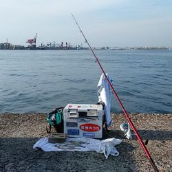 久々の播磨新島で満足釣果