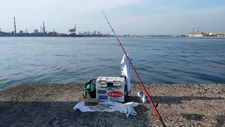 久々の播磨新島で満足釣果