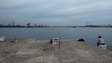 今日も播磨新島でキス狙い