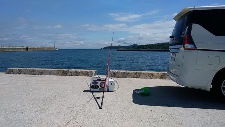 淡路西淡のキス釣査