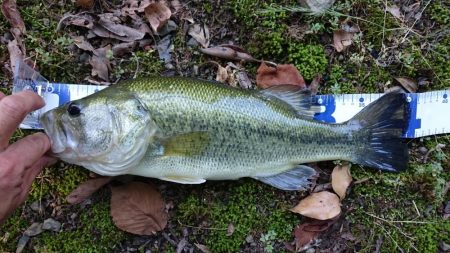 今日もカバー奥にピッタリ