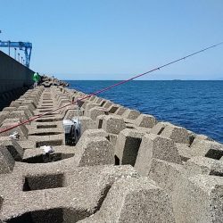 東二見人工島のキスが釣れません(・・?