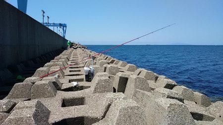 東二見人工島のキスが釣れません(・・?