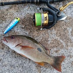 強風でなかなか渋いです。