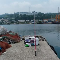 富島港内でキス狙い