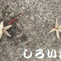 今日も行ってきました！