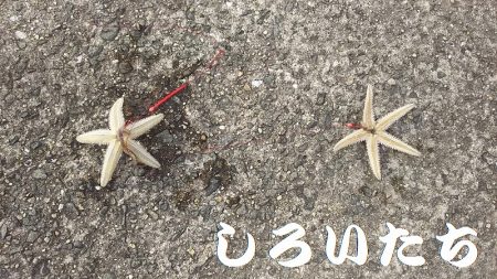 今日も行ってきました！