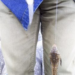 2日目もキスを狙うが・・・。