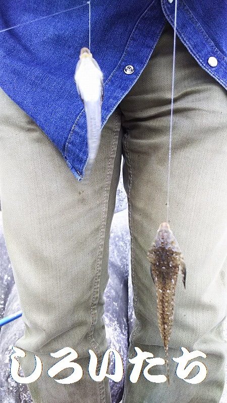 2日目もキスを狙うが・・・。