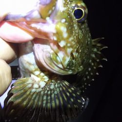 初めての場所。