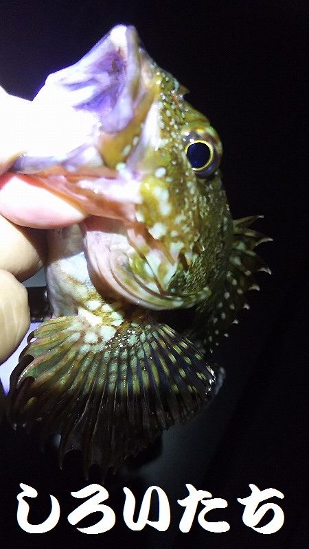 初めての場所。