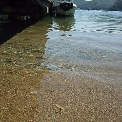 こんなにも違うのか