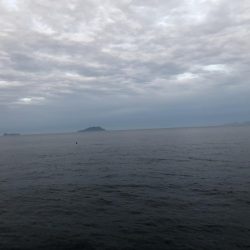 初めてのイカ釣り