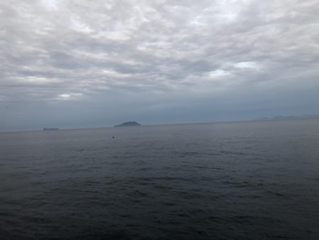 初めてのイカ釣り