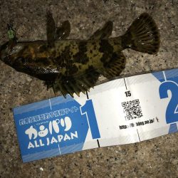 メバルフィーバー継続中！