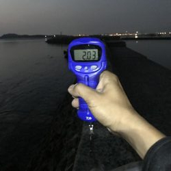 志賀島エギング