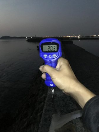 志賀島エギング