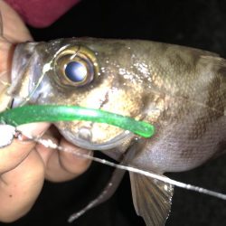 やっぱり強かった！！スペシャルグリーン！！